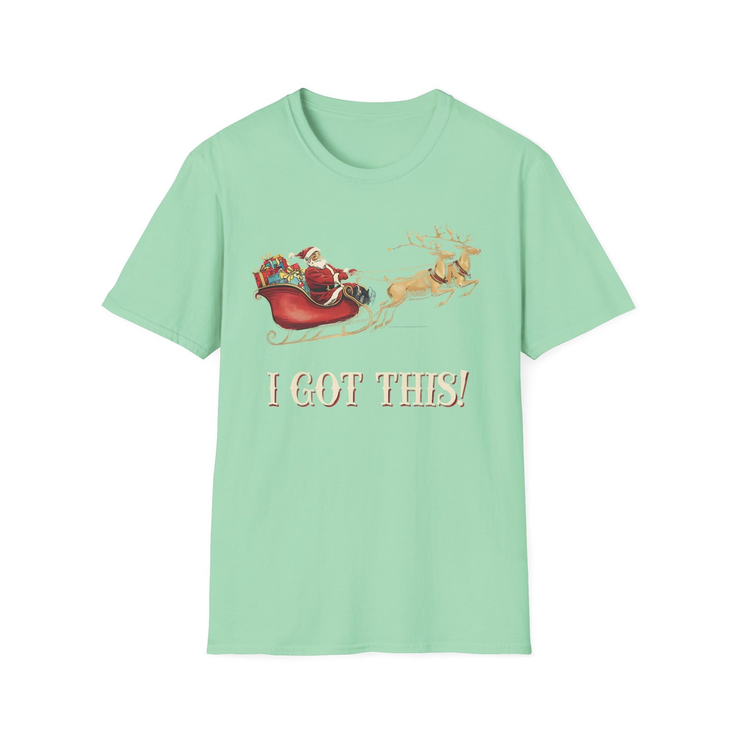 i got this holiday shirt