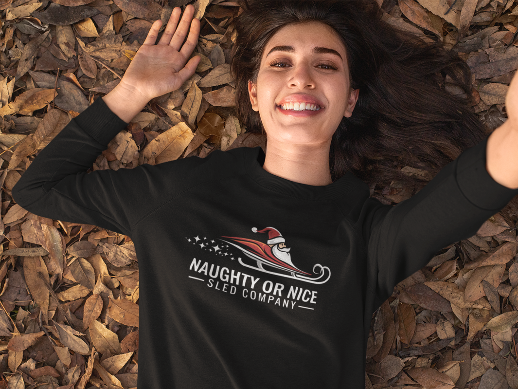 naughty or nice shirt